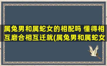 属兔男和属蛇女的相配吗 懂得相互磨合相互迁就(属兔男和属蛇女的相配，如何相互磨合迁就)